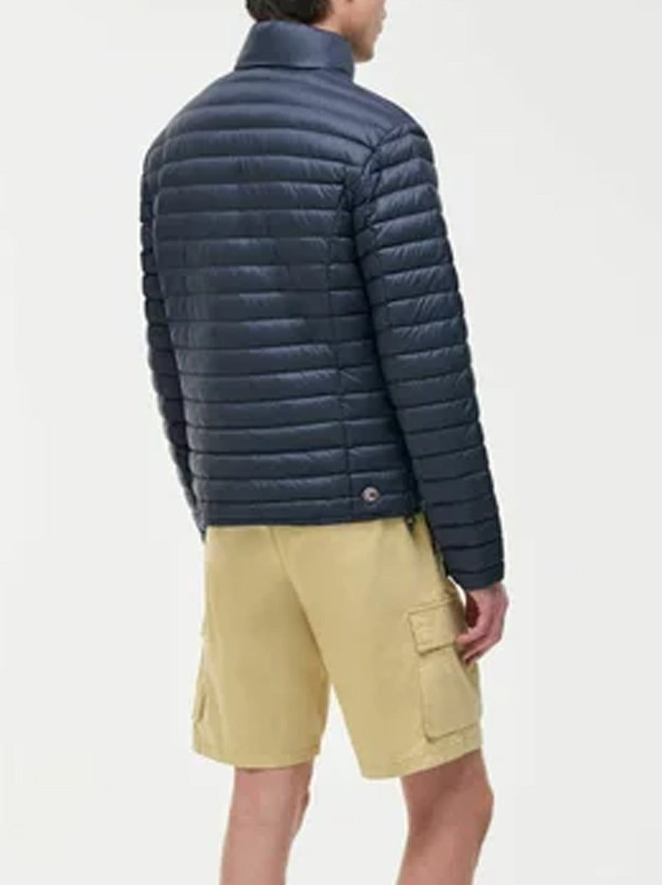 100 gr collo in piedi 1246 4ZP B COLMAR