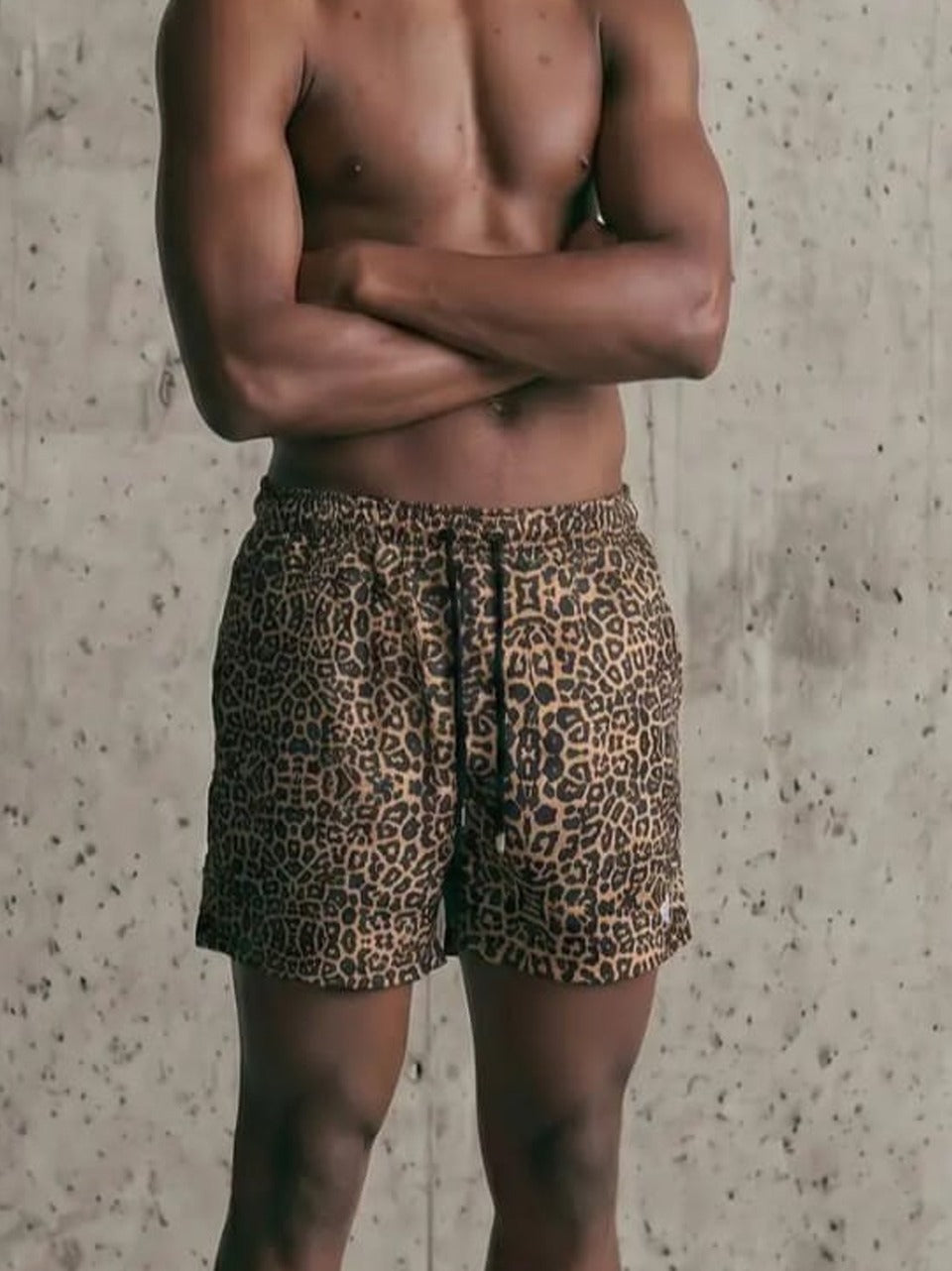 boxer mare MCLB JAGUAR TOOCO