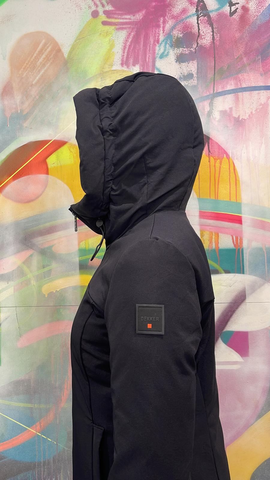 DED0230 01191538 N DEkker