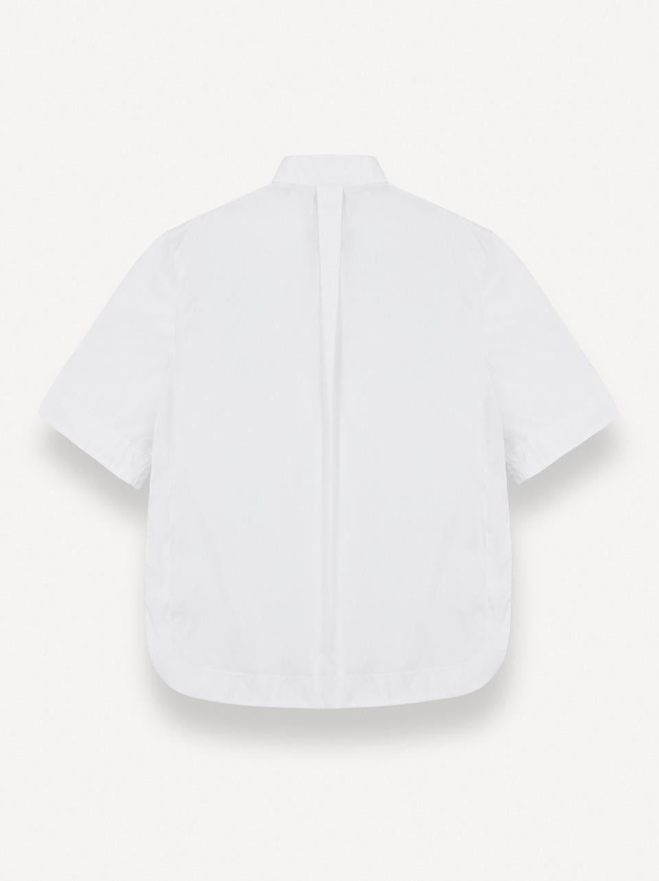 camicia spacchi orea 8428 B COLMAR