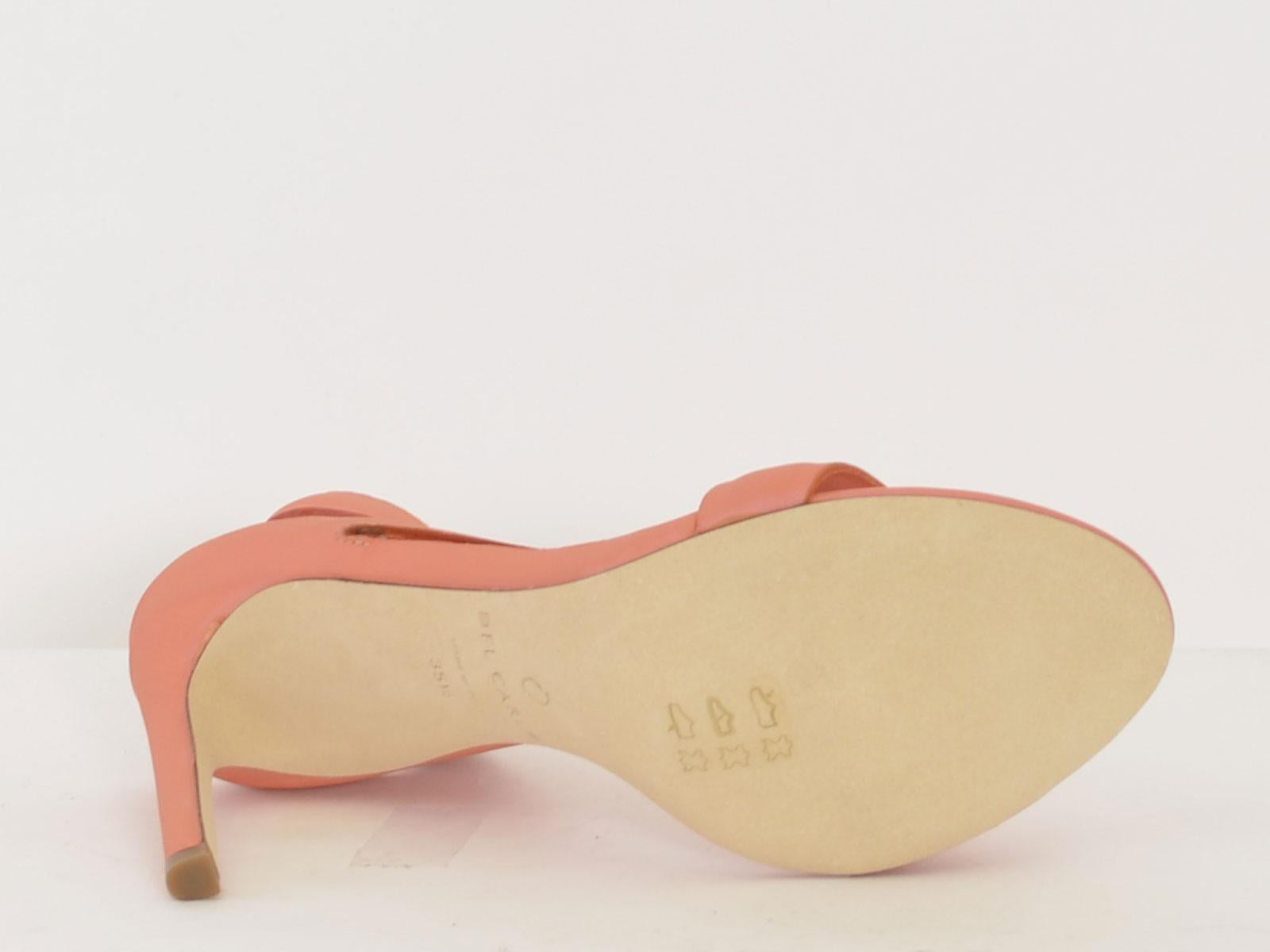 10931 PESCA DEL CARLO