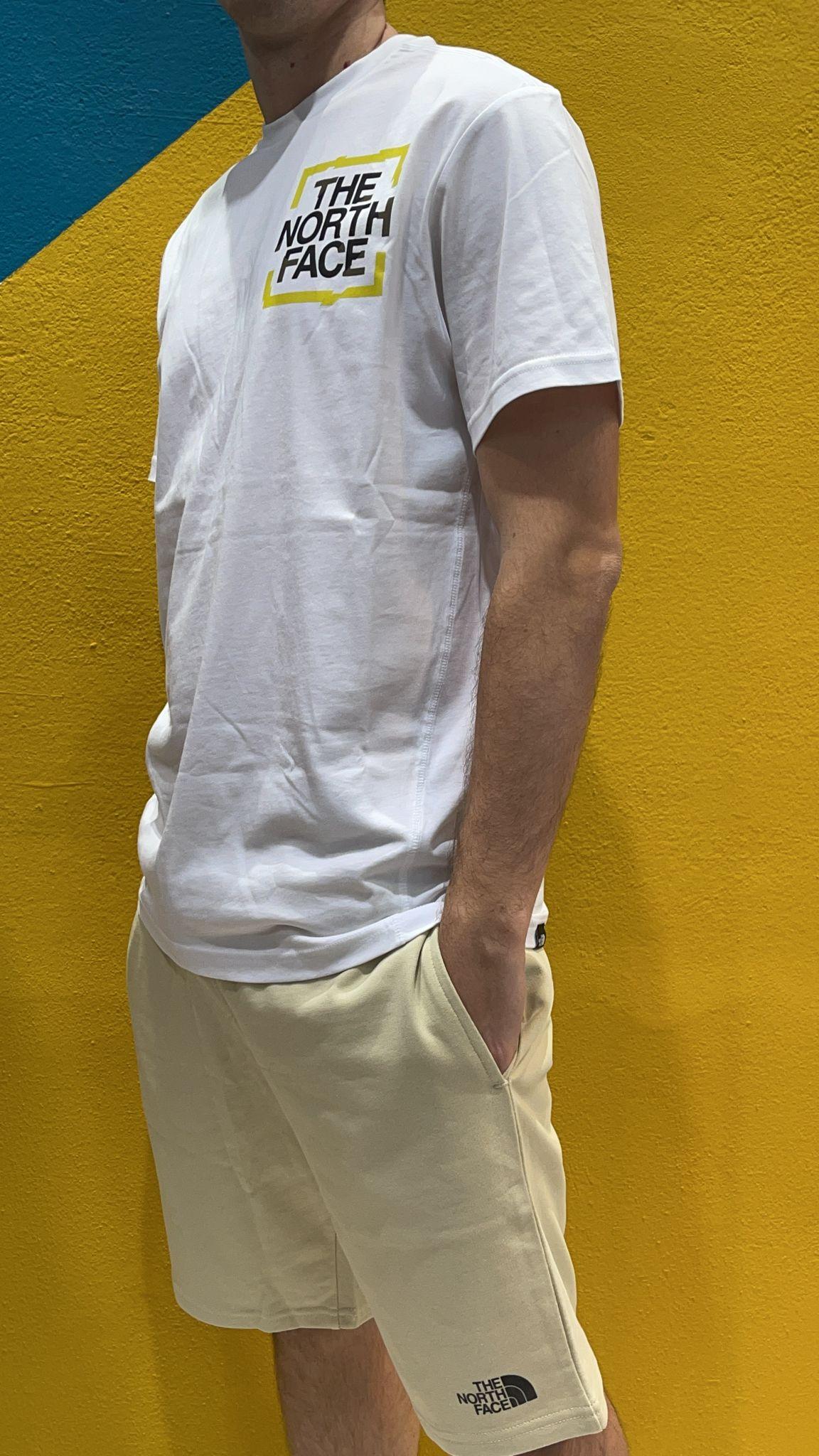 TEE GRAFIC BIA THE NORTH FACE