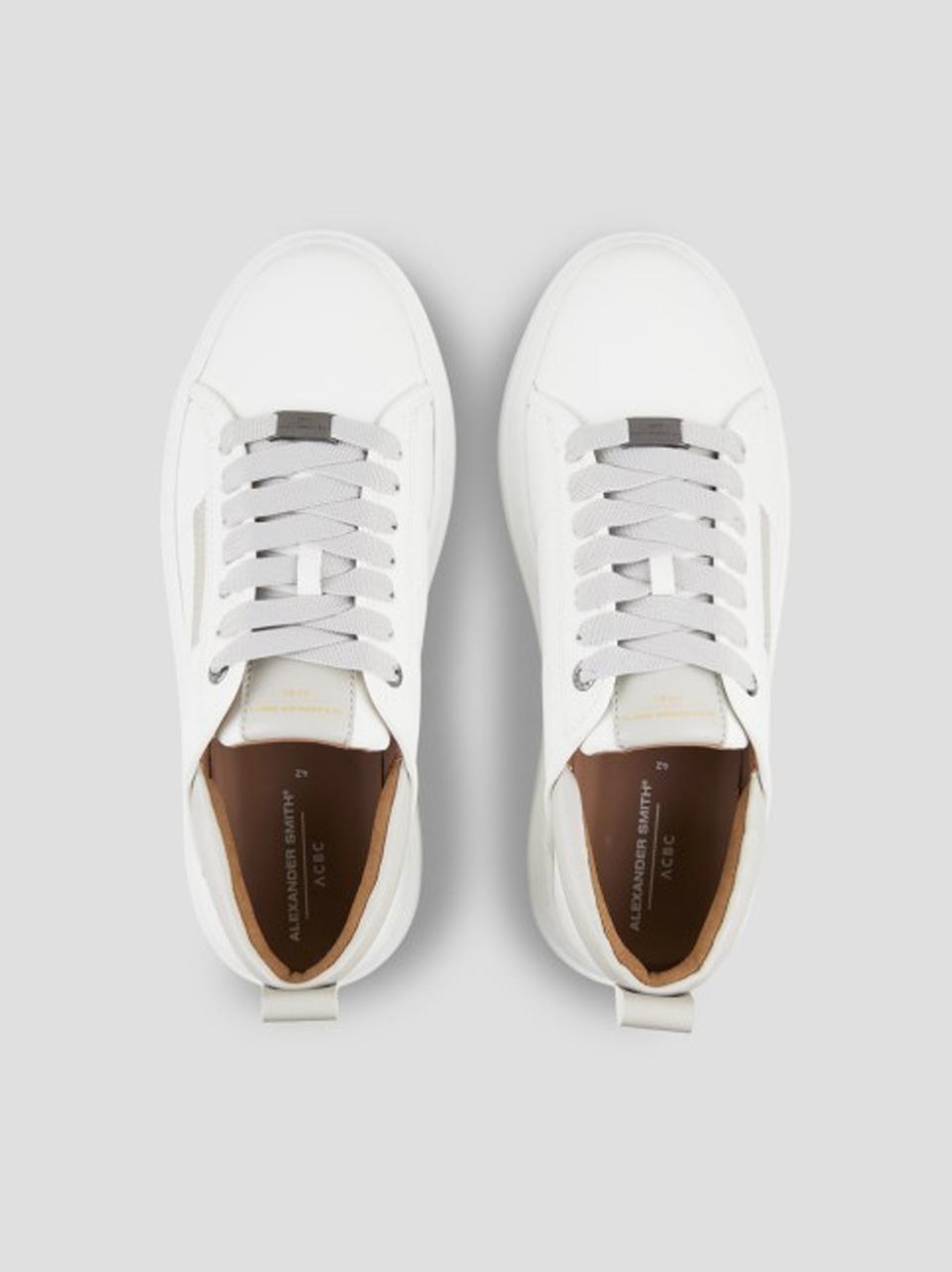 sneakers wembley EWEM7010 BLY ALEXANDER SMITH