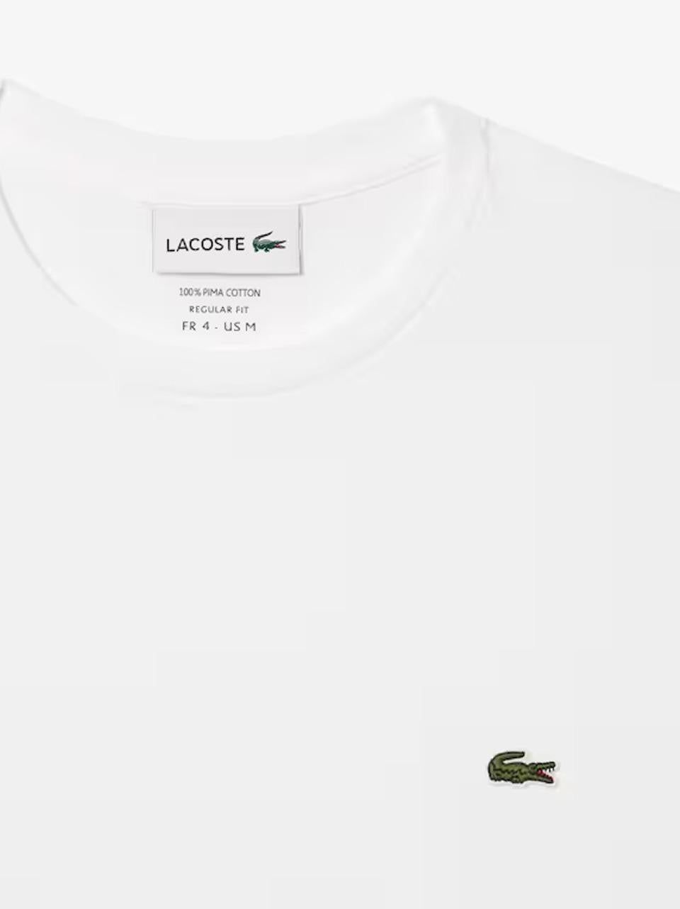 t shirt in pima TH6709 B LACOSTE