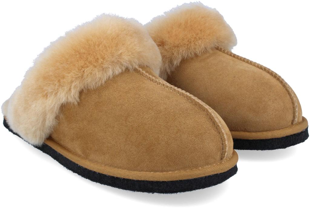 31104846 CESNUT HAFLINGER