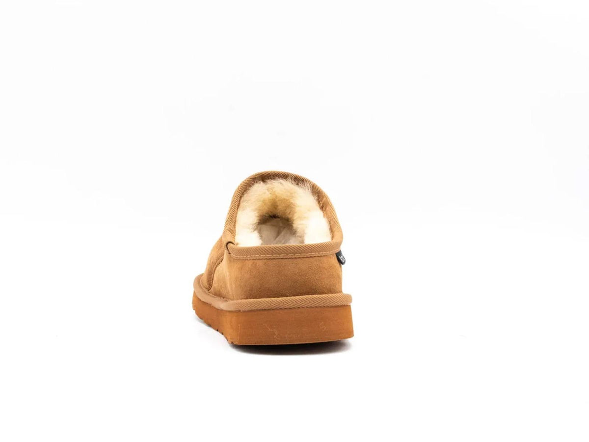 A0W11000 0CHESNUT AdnO