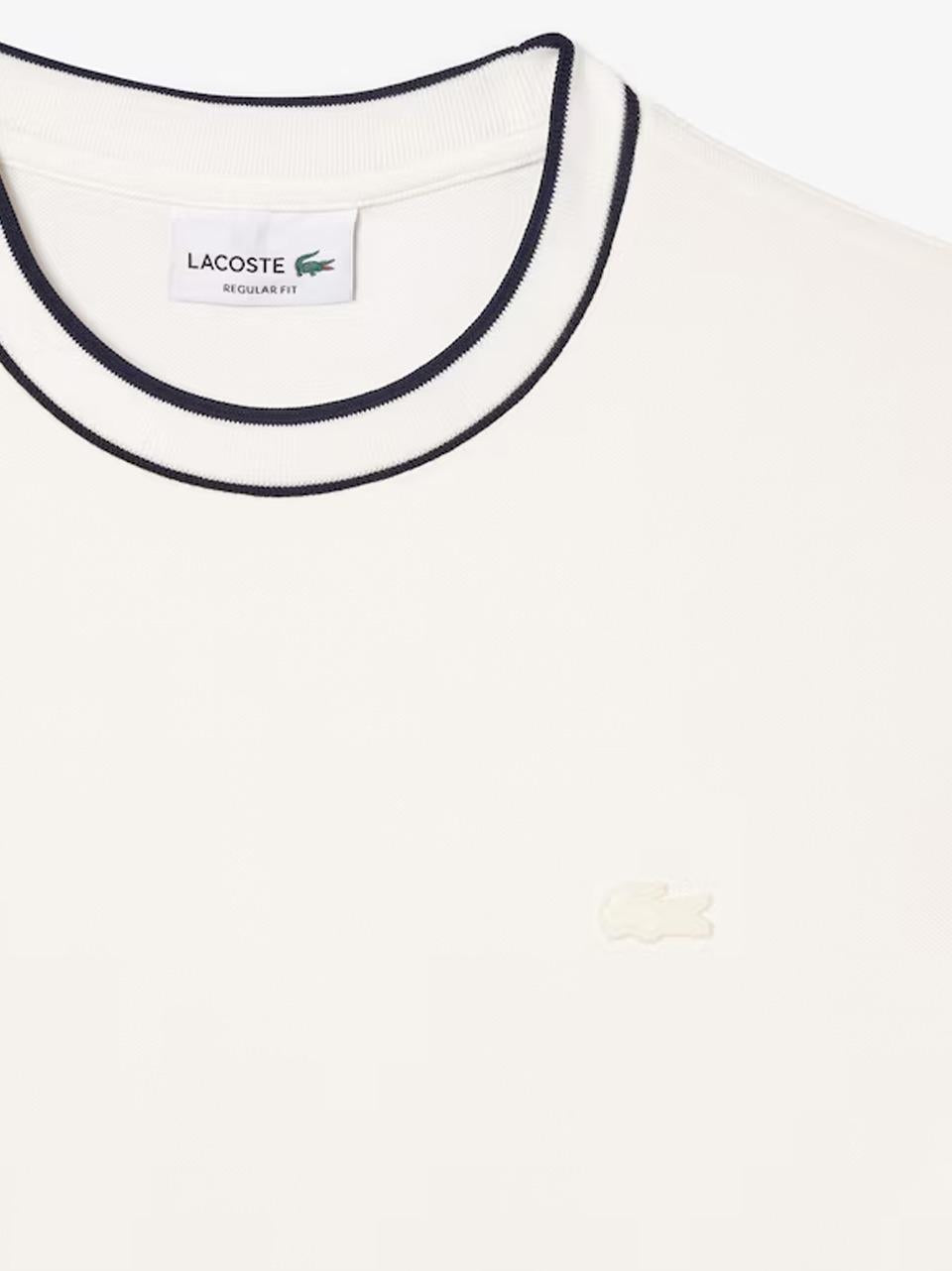 TH8174 B LACOSTE