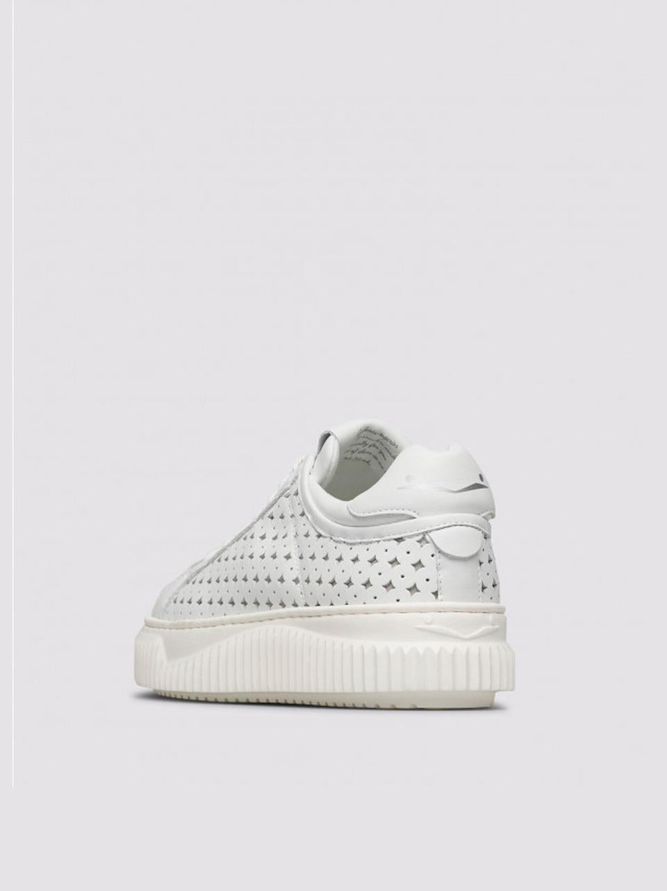 sneakers herika in pelle traforata ERIKA 0N01-2018302 WHITE VOILE BLANCHE