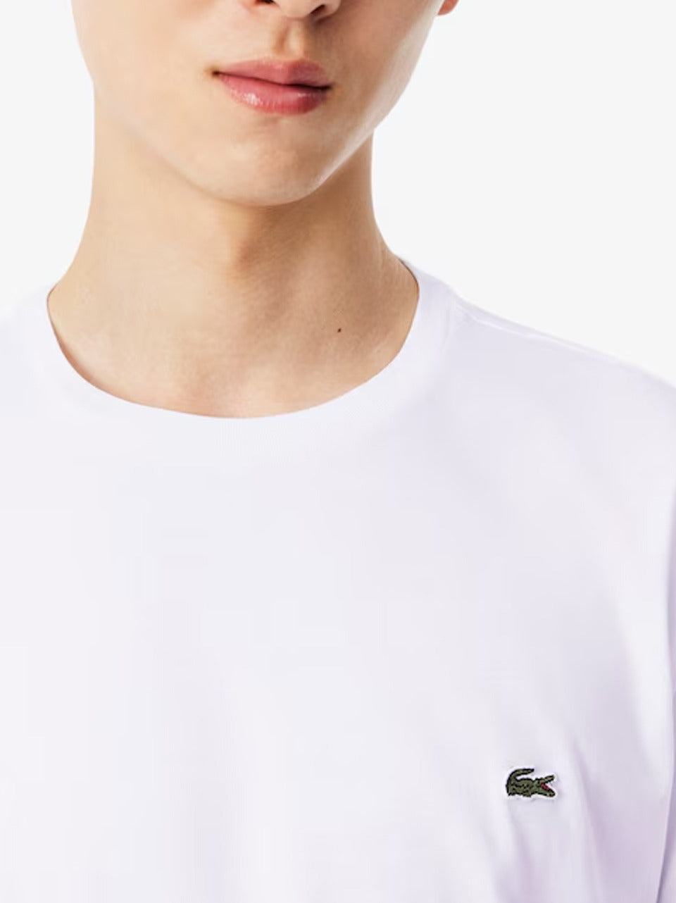 t sh basic TH6709 B LACOSTE 