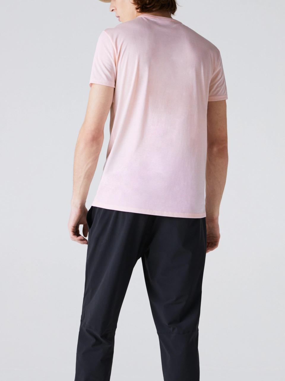 t shirt base pima TH6709 T03 LACOSTE 