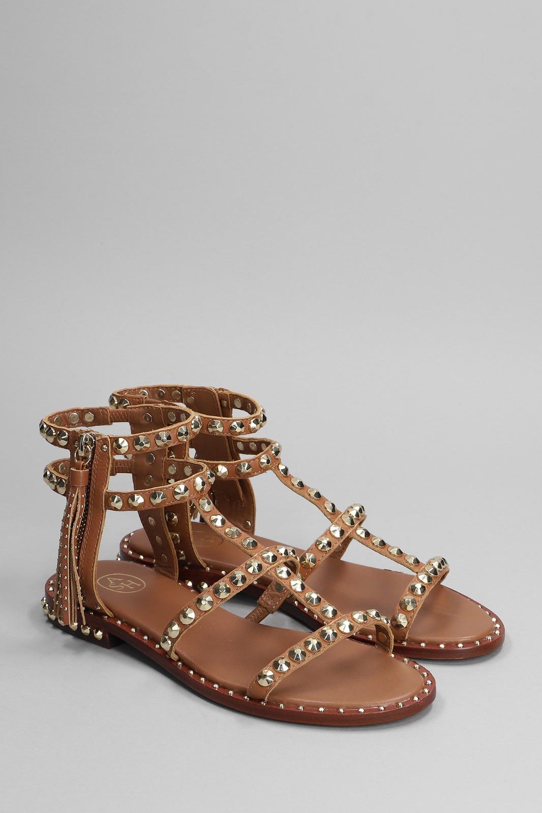  S23-POWER 02NEW CINNAMON ASH 