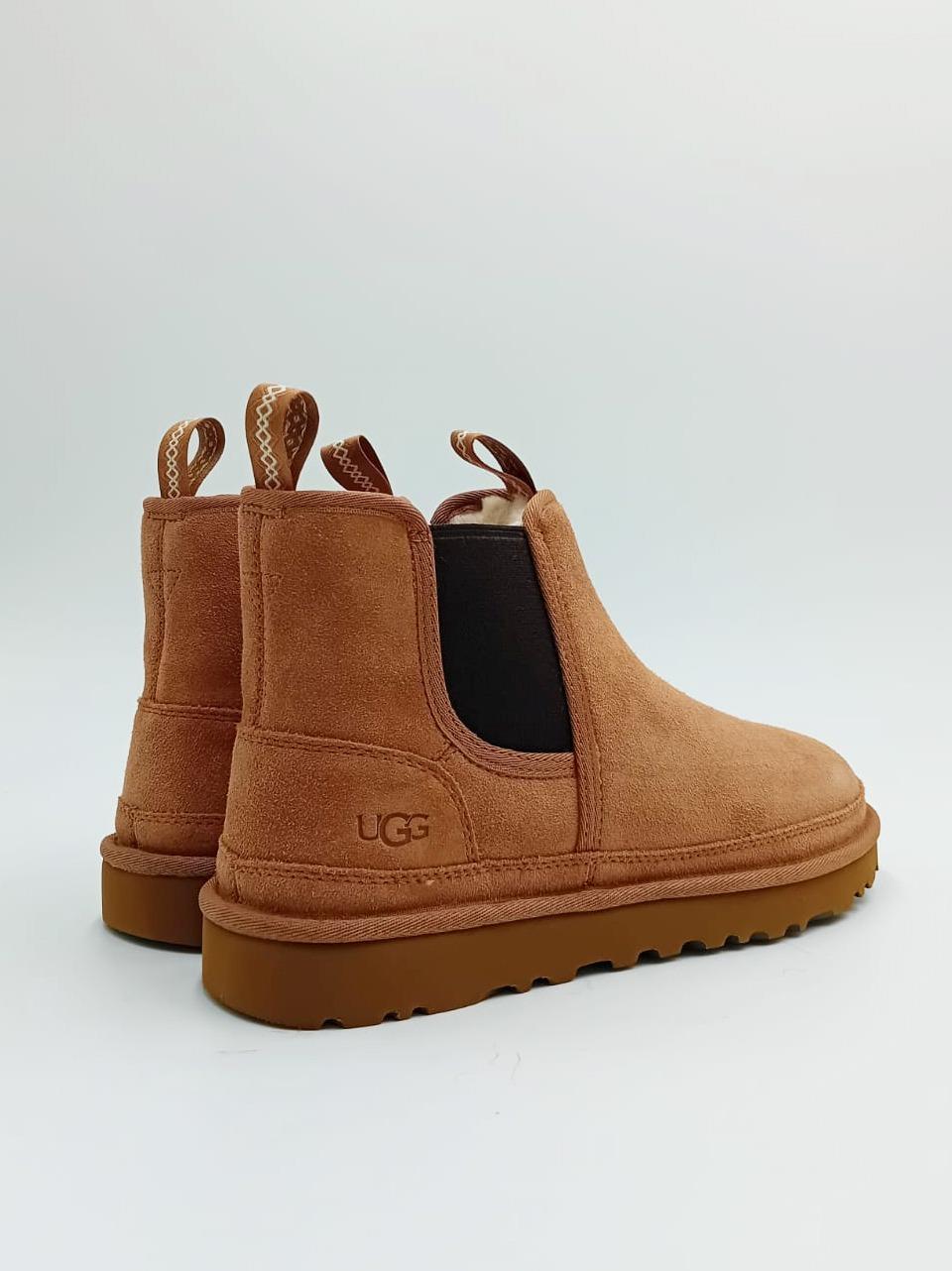 lowmel sneakers M NEUMEL CHELSEA CHESNUT Ugg 
