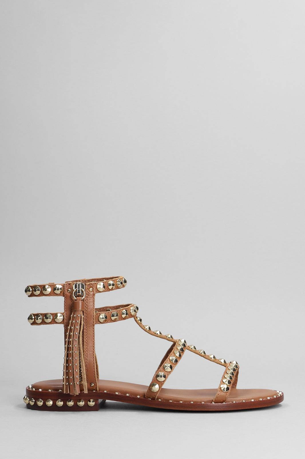  S23-POWER 02NEW CINNAMON ASH 