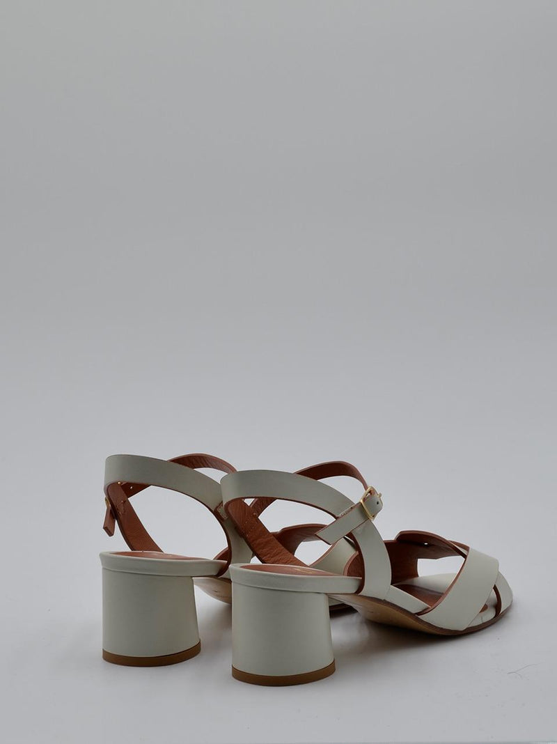 MATTEO PITTI 2121BURRO