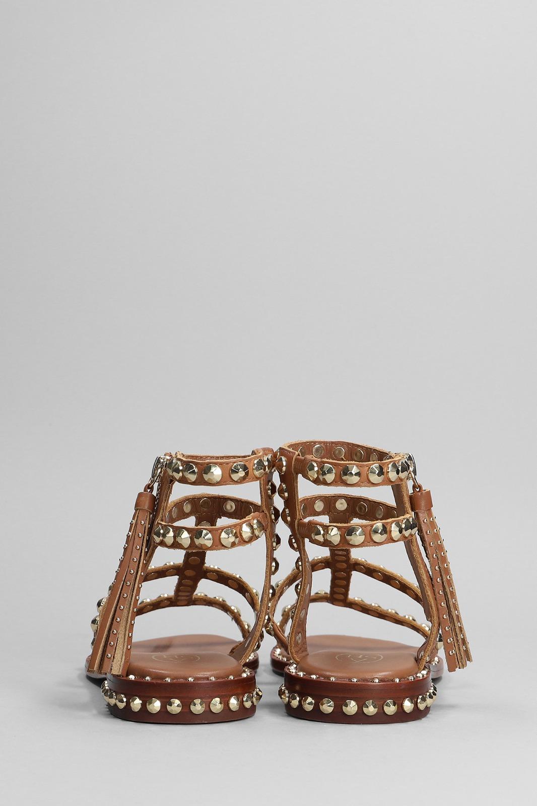  S23-POWER 02NEW CINNAMON ASH 