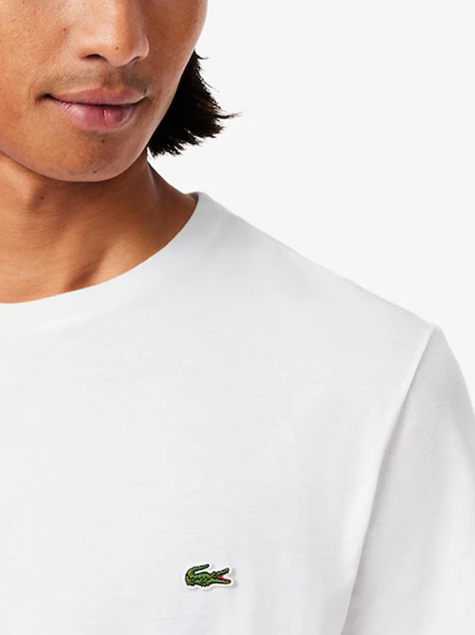 t shirt in pima TH6709 B LACOSTE 