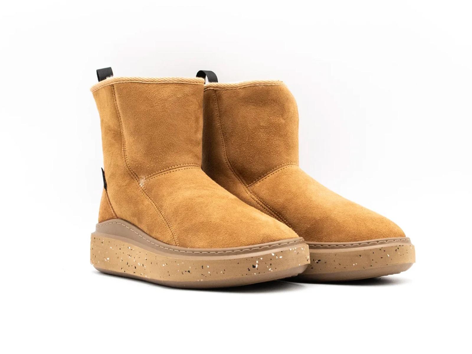  AOW100502 CHESNUT AdnO 