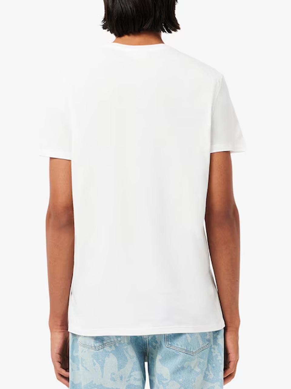 t shirt in pima TH6709 B LACOSTE 