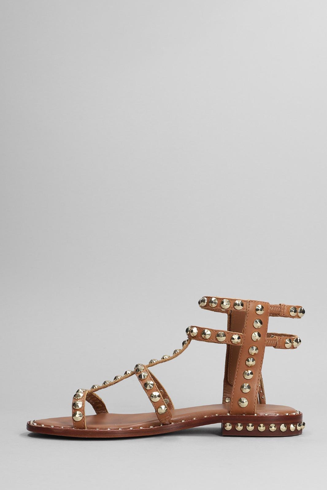  S23-POWER 02NEW CINNAMON ASH 