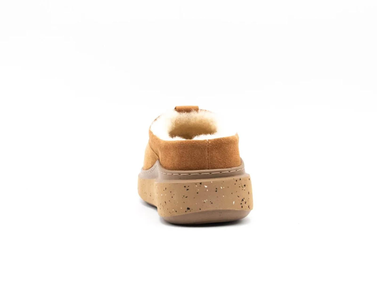  AOW100204 CHESNUT AdnO 