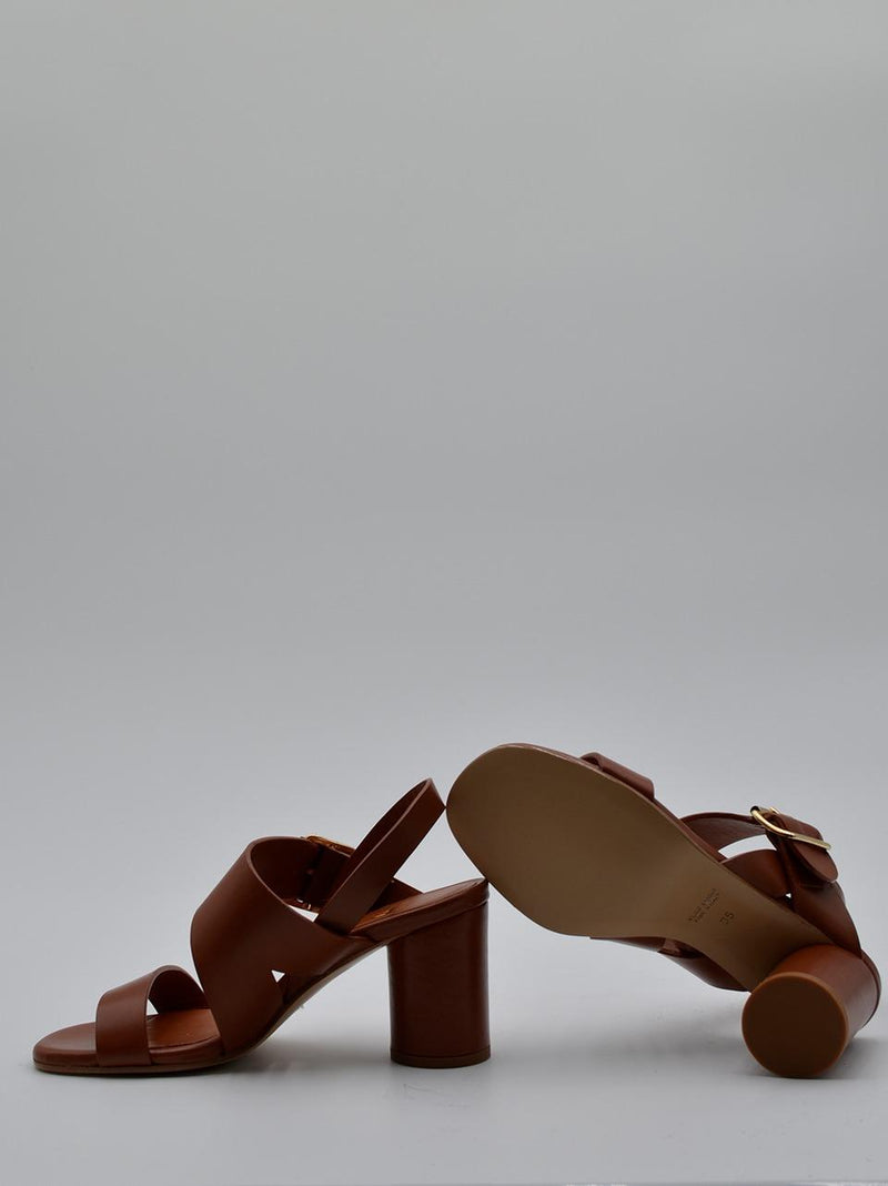 MATTEO PITTI 1727CUOIO