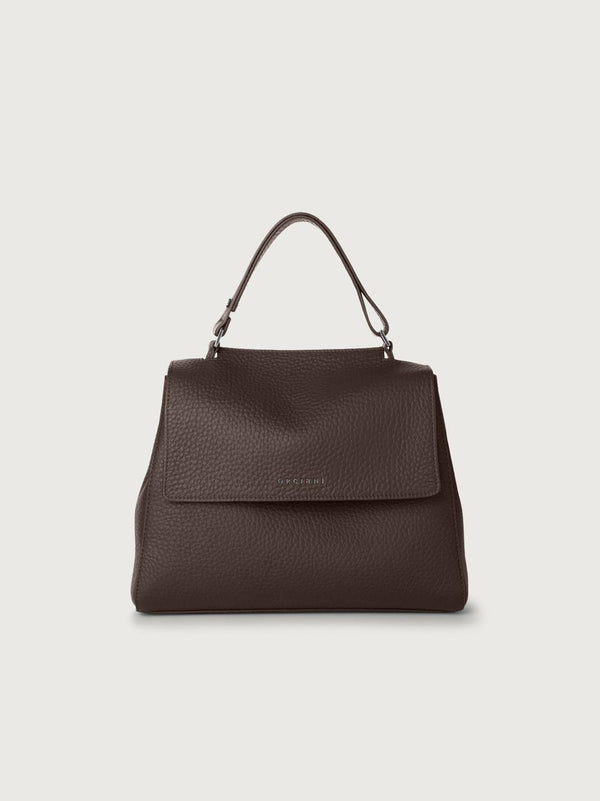 borsa sveva media BT2006SOFT TDM ORCIANI 