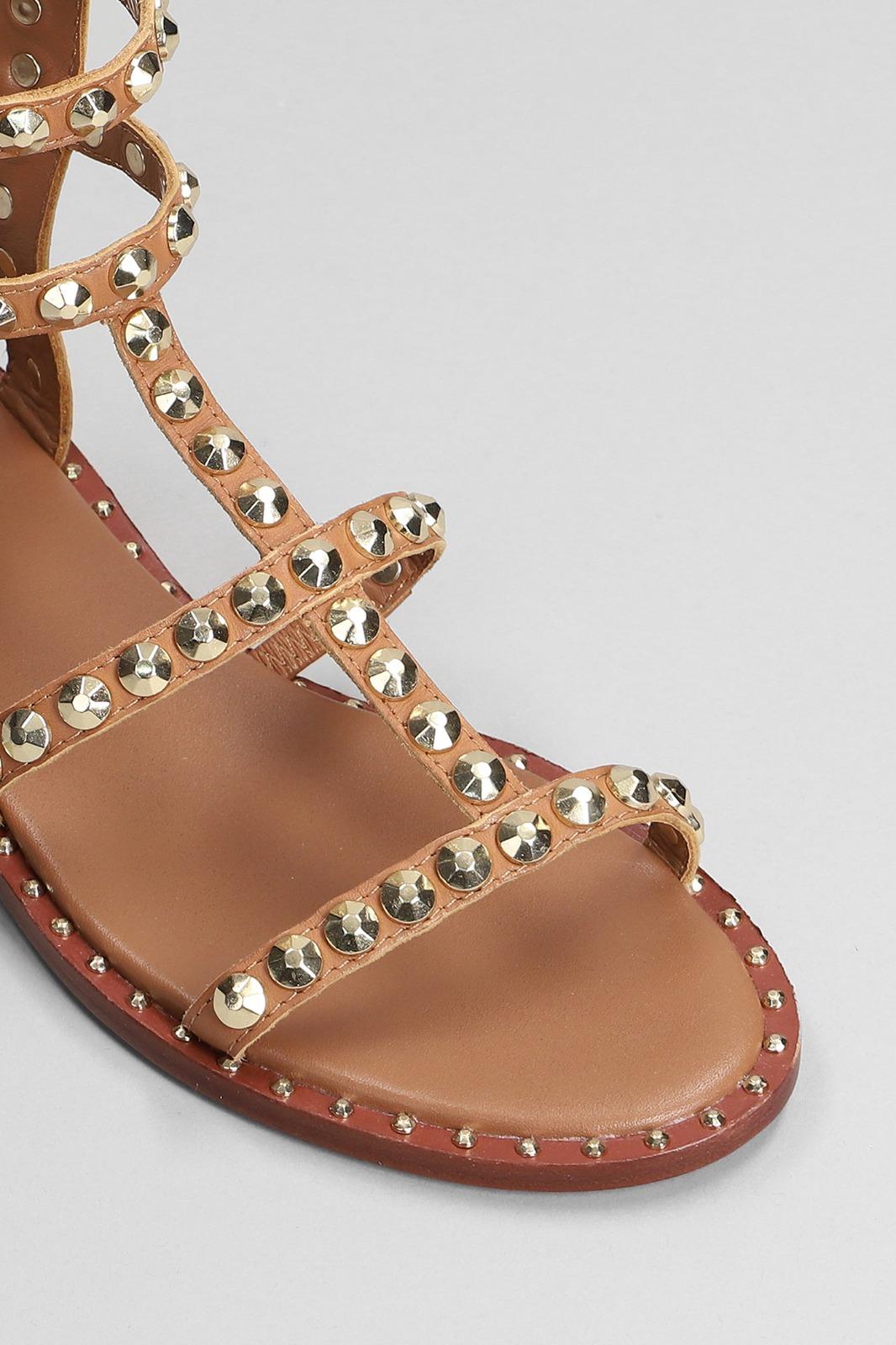  S23-POWER 02NEW CINNAMON ASH 