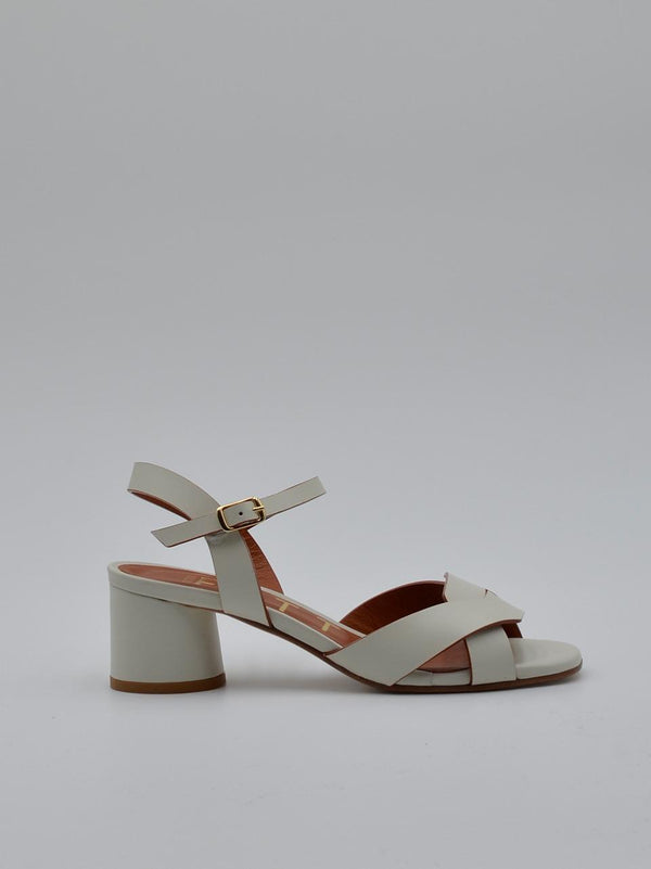MATTEO PITTI 2121BURRO