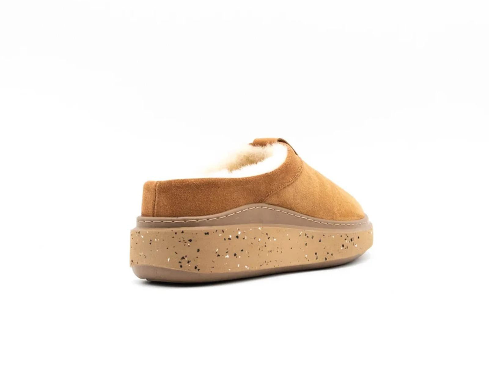  AOW100204 CHESNUT AdnO 