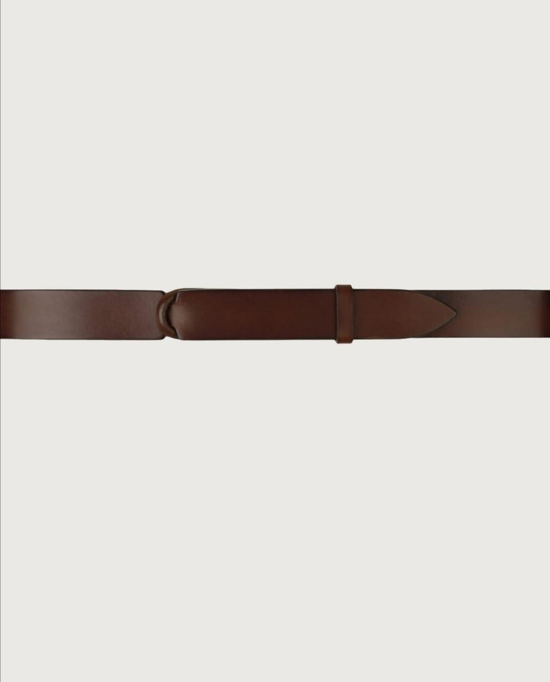  NB0001 BULBRUCIATO ORCIANI 